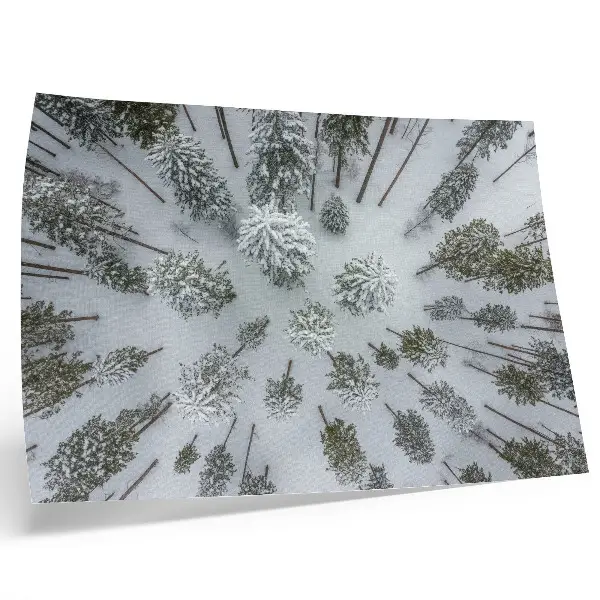 Affiche et poster paix hivernale en forêt esprit minimaliste et naturel