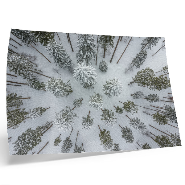 Affiche et poster paix hivernale en forêt, minimalisme, naturalité