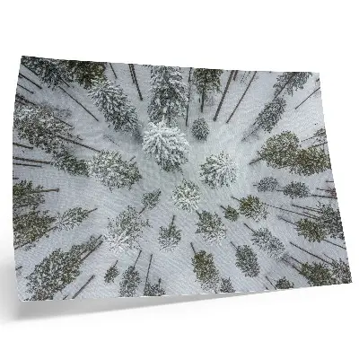 Affiche et poster paix hivernale en forêt esprit minimaliste et naturel