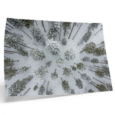 Affiche et poster paix hivernale en forêt, minimalisme, naturalité