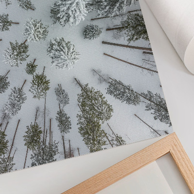 Affiche et poster paix hivernale en forêt, minimalisme, naturalité