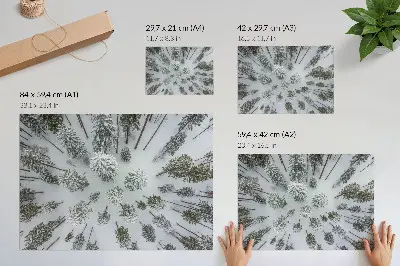 Affiche et poster paix hivernale en forêt esprit minimaliste et naturel