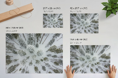 Affiche et poster paix hivernale en forêt, minimalisme, naturalité