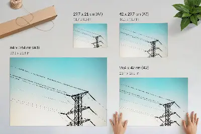 Affiche oiseaux sur les lignes électriques avec un ciel bleu