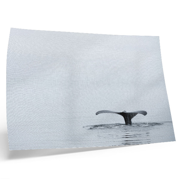 Affiche décorative queue de baleine au-dessus de l'eau, harmonie minimaliste