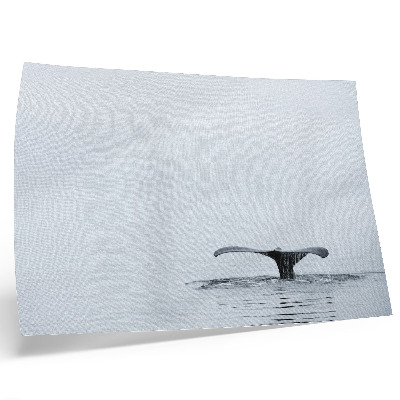 Affiche décorative queue de baleine au-dessus de l'eau, harmonie minimaliste