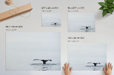 Affiche décorative queue de baleine au-dessus de l'eau, harmonie minimaliste