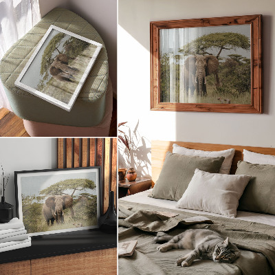 Affiche décorative Un éléphant sur fond de savane verdoyante