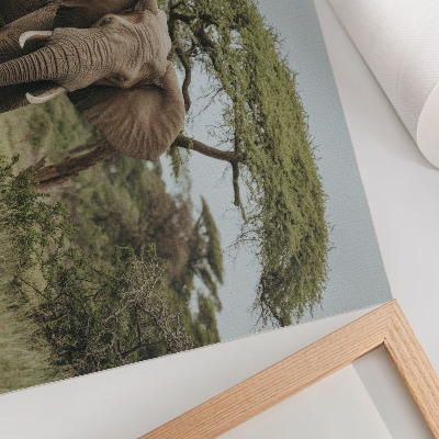 Affiche décorative Un éléphant sur fond de savane verdoyante
