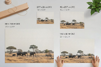 Affiche décorative Des éléphants dans la savane africaine, parmi les arbres