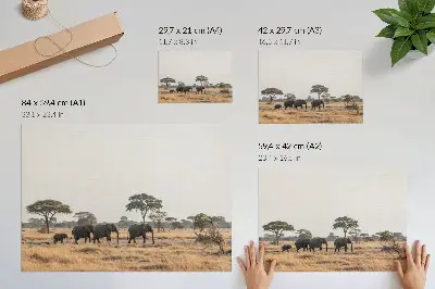 Affiche décorative représentant des éléphants dans la savane africaine parmi les arbres
