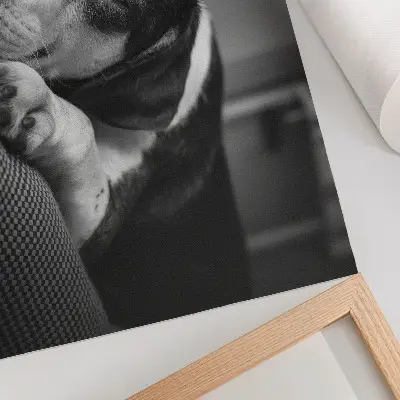 Affiche chien adorable dormant sur un oreiller