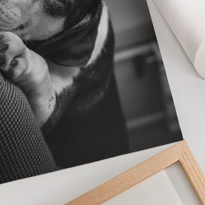 Affiche Un adorable chien dort sur un oreiller