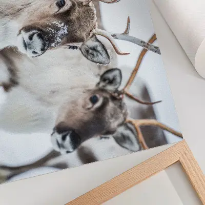 Affiche décorative renne aux bois naturels dans un paysage hivernal