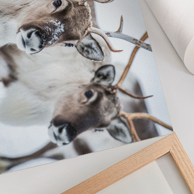 Affiche décorative Renne aux bois naturels, harmonie du paysage hivernal