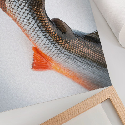 Affiche et poster Échelles naturelles et couleurs dynamiques en gros plan