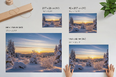 Affiche Paysage d'hiver avec neige et soleil à l'horizon