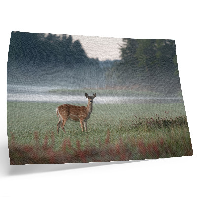 Affiche décorative Cerfs se détachant sur fond de prairies brumeuses et de forêt