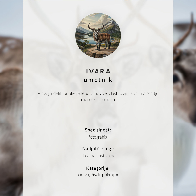 Affiche décorative Cerfs se détachant sur fond de prairies brumeuses et de forêt