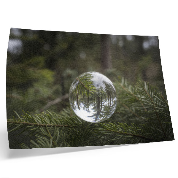 Affiche et poster Une boule de cristal sur fond de branche de pin