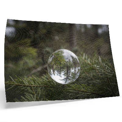 Affiche et poster Une boule de cristal sur fond de branche de pin