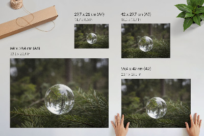 Affiche et poster Une boule de cristal sur fond de branche de pin