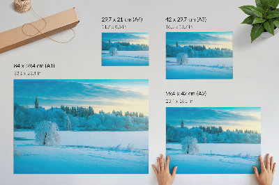 Affiche et poster Paysage d'hiver, calme, ciel, lac, arbres