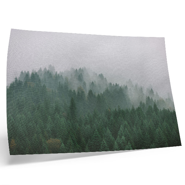 Affiche Un panorama brumeux de la forêt, pleine de vert et de gris