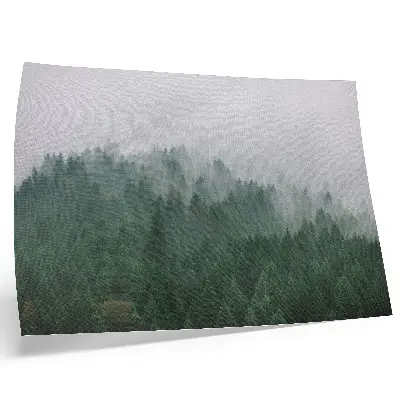 Affiche panorama brumeux d'une forêt dans des tons de vert et de gris