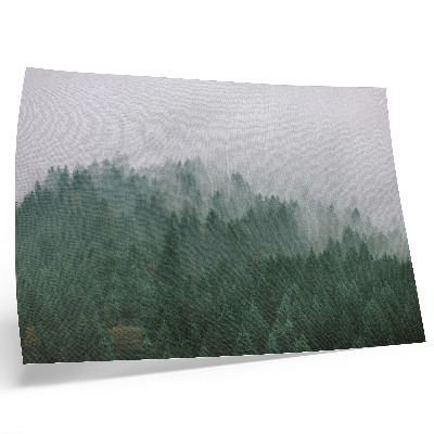 Affiche Un panorama brumeux de la forêt, pleine de vert et de gris
