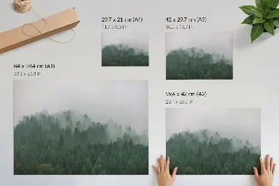 Affiche panorama brumeux d'une forêt dans des tons de vert et de gris