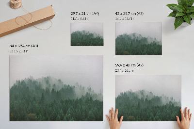 Affiche Un panorama brumeux de la forêt, pleine de vert et de gris