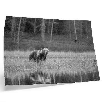 Affiche décorative Ours au bord de l'eau, atmosphère en noir et blanc
