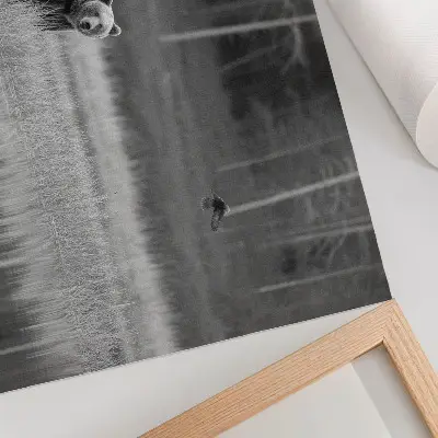 Affiche décorative ours au bord de l'eau dans une atmosphère noir et blanc