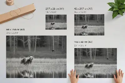 Affiche décorative ours au bord de l'eau dans une atmosphère noir et blanc