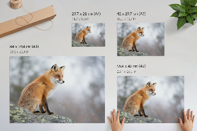 Affiche Renard dans un paysage hivernal, douce paix de la nature