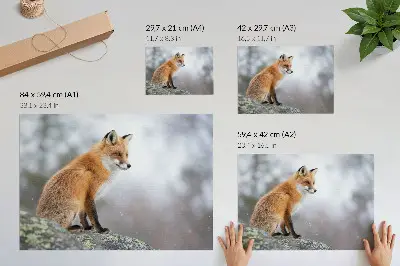 Affiche renard dans un paysage hivernal représentant la douce paix de la nature
