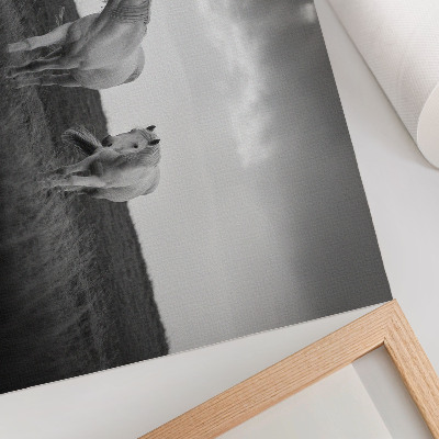 Affiche et poster Des chevaux blancs se détachant sur une prairie aux nuances de gris