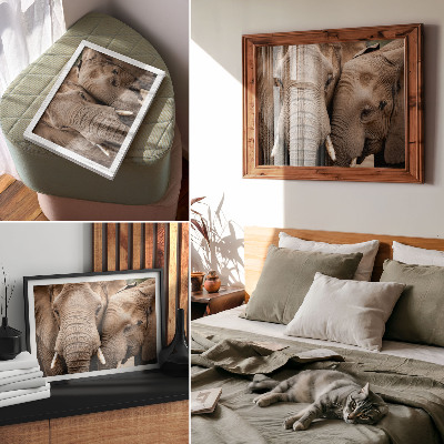 Affiche et poster Deux grands éléphants proches, teintes chaudes