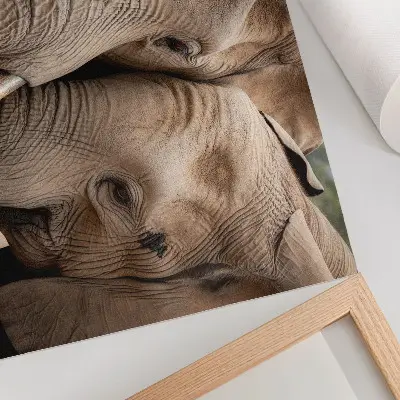 Affiche et poster deux grands éléphants dans des teintes chaudes