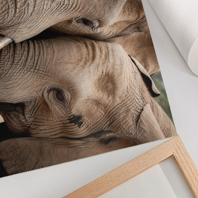 Affiche et poster Deux grands éléphants proches, teintes chaudes