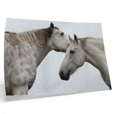Affiche décorative Deux chevaux en harmonie, gris et blancs