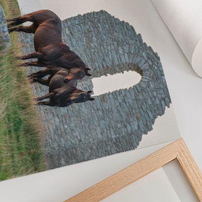 Affiche Le contraste entre les ruines et les chevaux dans la verdure