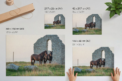 Affiche Le contraste entre les ruines et les chevaux dans la verdure