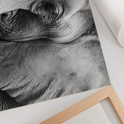 Affiche décorative éléphant monochrome, détails minimalistes, élégance
