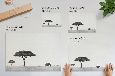 Affiche et poster Éléphants et acacias dans la savane, dans une gamme subtile