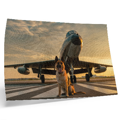 Affiche Chien et avion au coucher du soleil - un spectacle unique