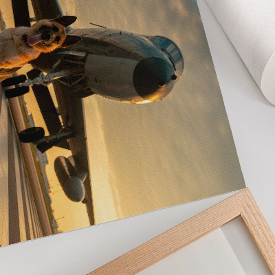 Affiche Chien et avion au coucher du soleil - un spectacle unique