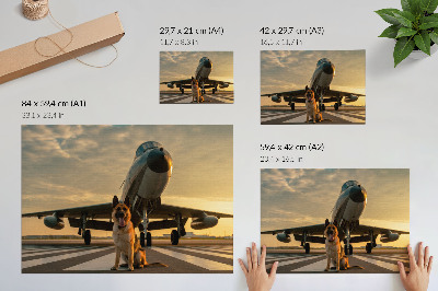 Affiche Chien et avion au coucher du soleil - un spectacle unique