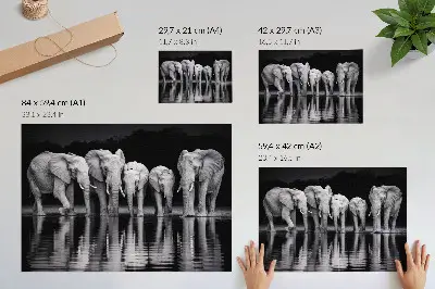 Affiche décorative éléphants au bord de l'eau dans une harmonie paisible avec reflets
